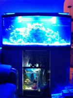 ImageUploadedByReefs1339041502.893373.jpg