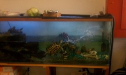IMAG0358.jpg