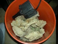 DSCN1067.jpg