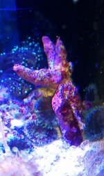 IMAG0323.jpg