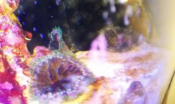 IMAG0318.jpg