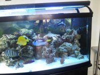 20120824_115052.jpg