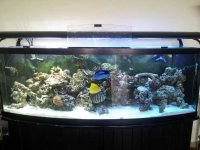 20120824_115109.jpg