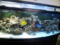 20120824_115119.jpg