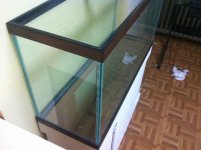 ImageUploadedByReefs1342565294.858259.jpg