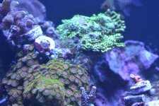 DSC_0279.jpg