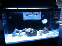 iphone 4 sept 15 2012 3824.jpg