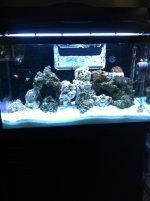 iphone 4 sept 15 2012 3974.jpg