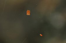 DSC_0235_01.jpg