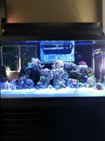 iphone 4 sept 15 2012 4090.jpg