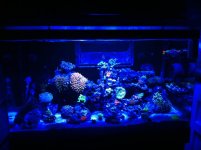 iphone 4 sept 15 2012 4263.jpg