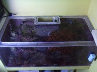 DSCF3725.jpg