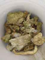 ImageUploadedByReefs1362706379.424143.jpg