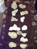 ImageUploadedByReefs1362706438.072924.jpg