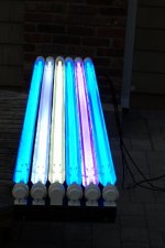 light.jpg