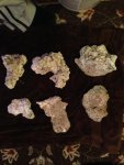 ImageUploadedByReefs1362706501.156377.jpg