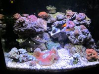 IMG_1454.jpg
