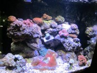 IMG_1459.jpg