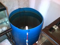 IMG-20120827-00019.jpg