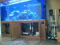 IMG-20120827-00021.jpg