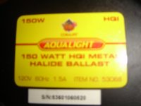 Coralife 150 MH and Fish Need It 70 watt NH 003.JPG