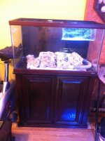 ImageUploadedByReefs1350223293.382634.jpg