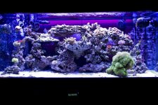 FTS.jpg