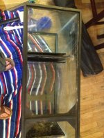 2012-08-26 19.05.57.jpg
