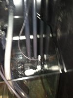 IMG_1931.jpg