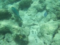 IMG_0011.jpg