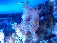 20121014_111702.jpg