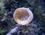 DSC04658.jpg