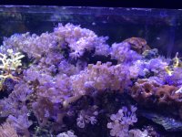 IMG_0545s.jpg
