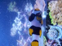 20120608_170107.jpg