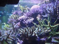 DSC04178.jpg