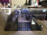 ImageUploadedByTapatalk1362943394.490757.jpg