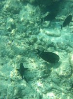 IMG_1758.jpg