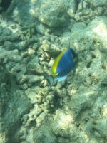 IMG_1762.jpg