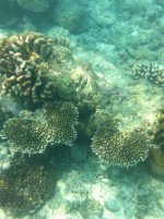 IMG_1776.jpg