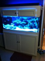 ImageUploadedByReefs1350315990.926691.jpg