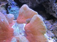 IMG_1467.jpg