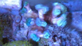 2013-03-10_16-48-23_18.jpg