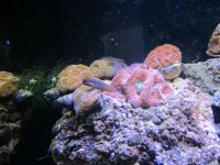 IMG_1476.jpg