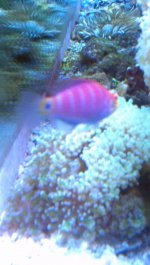2013-03-10_16-47-58_504.jpg