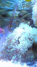 2013-03-10_16-47-56_566.jpg