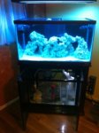 ImageUploadedByReefs1339717362.347887.jpg