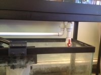 2012-08-31 12.25.09.jpg