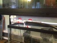 2012-08-31 12.25.15.jpg
