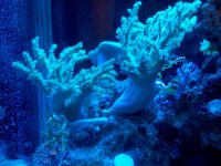 2013-01-18_21-33-40_254_01_01_01.JPG