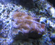 IMG_1487.JPG